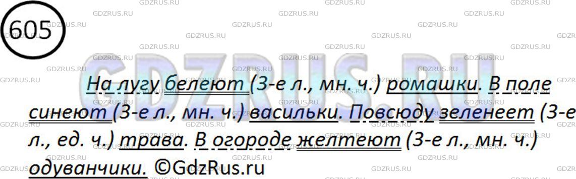 Упр 605 5 класс. Русский 5 класс номер 605. Русский язык пятый класс упражнение 605. Укажите с помощью глаголов на цвет ромашки.