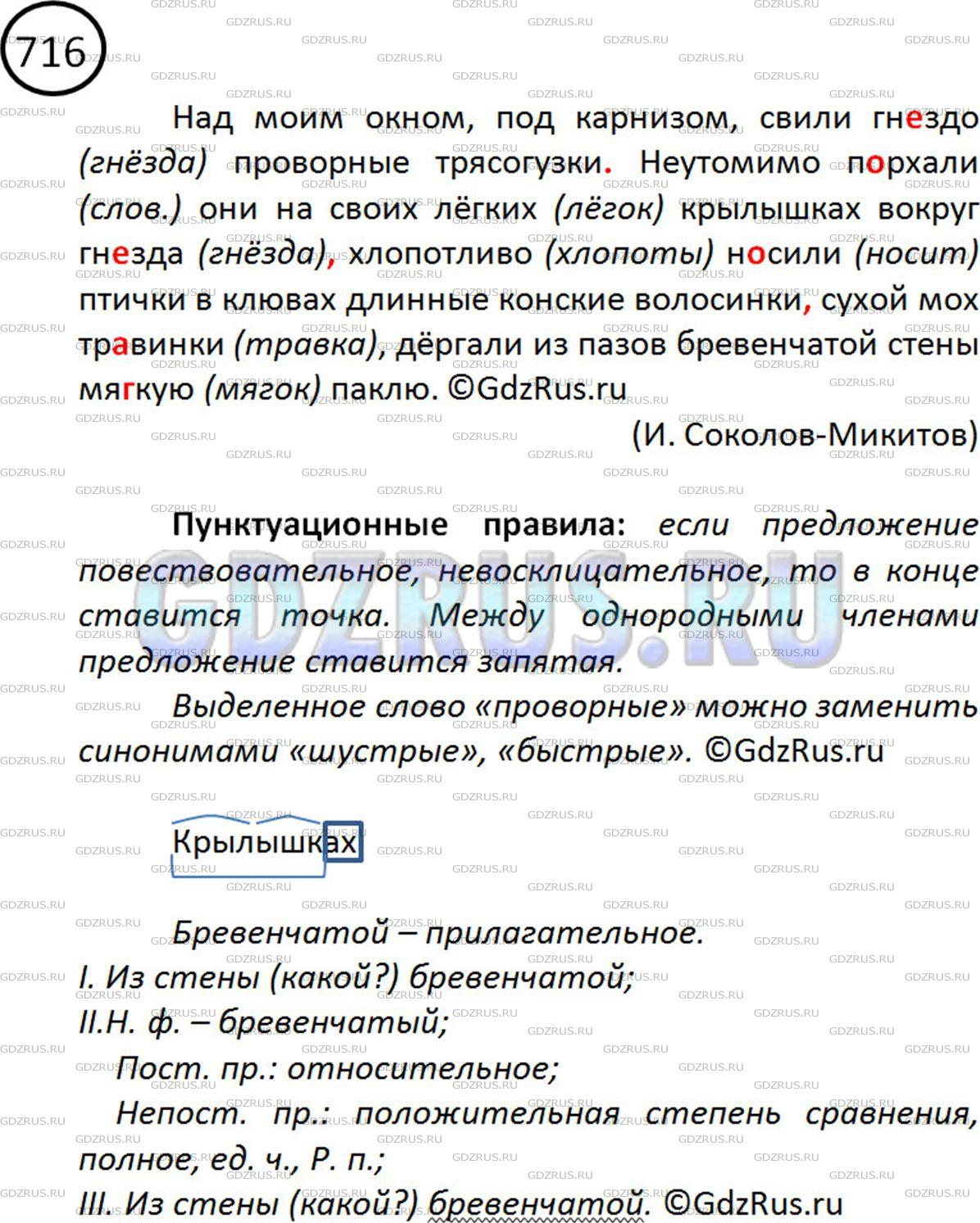 Фото решения 2: ГДЗ по Русскому языку 5 класса: Ладыженская Упр. 716