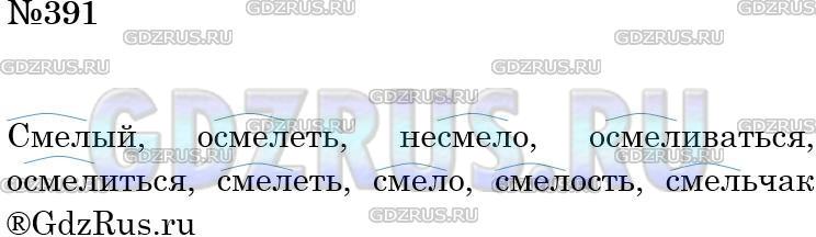 Фото решения 4: ГДЗ по Русскому языку 5 класса: Ладыженская Упр. 391