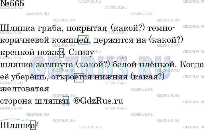 Фото решения 4: ГДЗ по Русскому языку 5 класса: Ладыженская Упр. 565