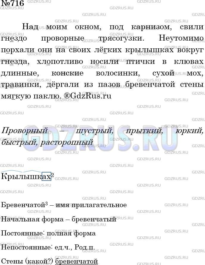 Фото решения 4: ГДЗ по Русскому языку 5 класса: Ладыженская Упр. 716