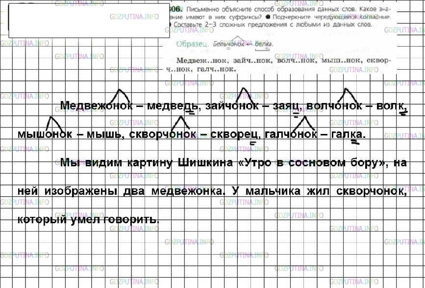 Русский язык 6 класс 306