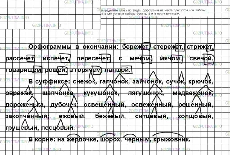 Фото решения 2: ГДЗ по Русскому языку 7 класса: Ладыженская Упр. 163