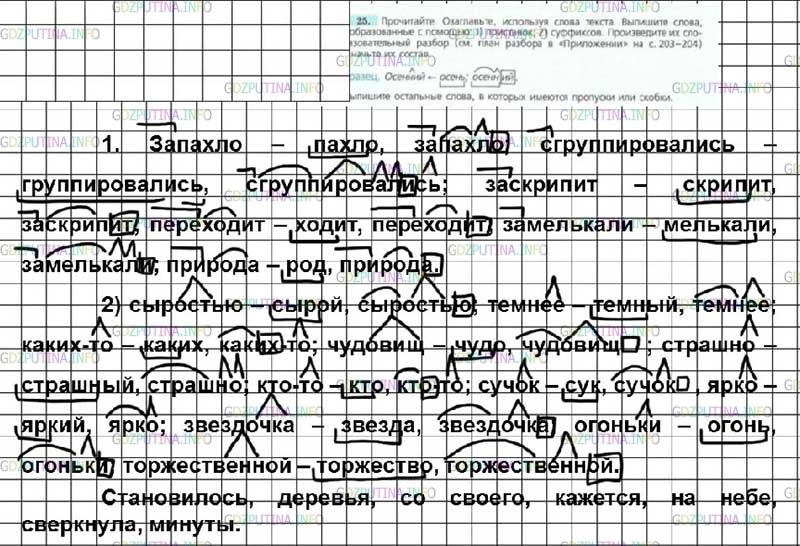 Фото решения 2: ГДЗ по Русскому языку 7 класса: Ладыженская Упр. 25