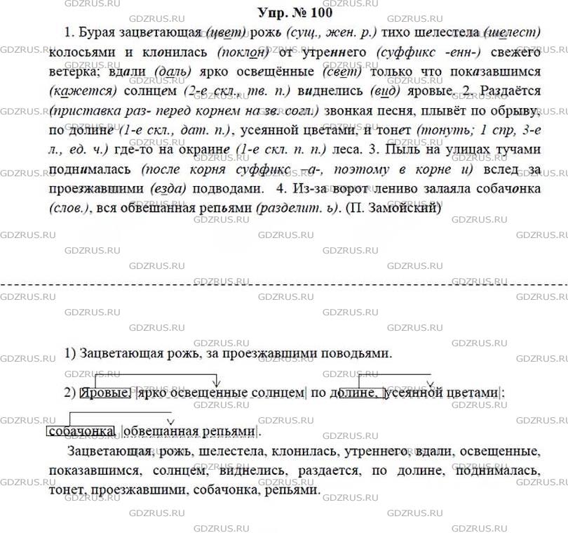 Русский язык 100 упр 14