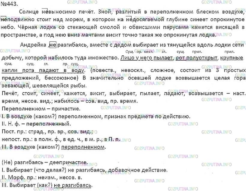Фото решения 5: ГДЗ по Русскому языку 7 класса: Ладыженская Упр. 443