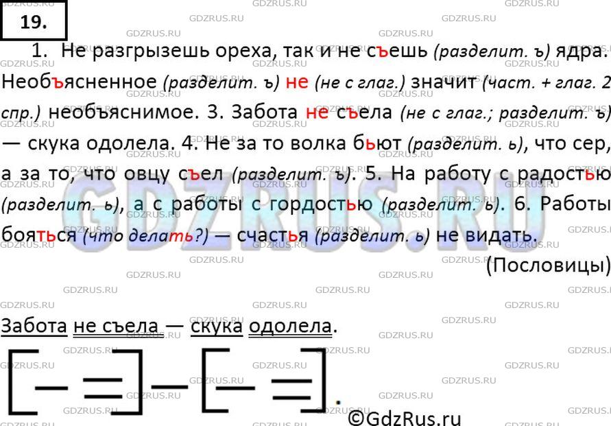 Фото решения 6: ГДЗ по Русскому языку 7 класса: Ладыженская Упр. 19