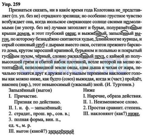 Фото решения 6: ГДЗ по Русскому языку 8 класса: Ладыженская Упр. 259